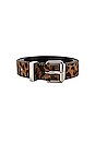 view 3 of 3 Leopard Belt in Leopard