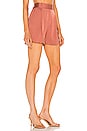 view 2 of 4 Rafaella Shorts in Redwood