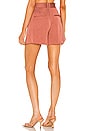view 3 of 4 Rafaella Shorts in Redwood