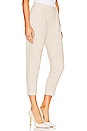 view 2 of 4 Aleida Tri Trouser in Pale Taupe