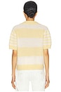 view 3 of 4 T-SHIRT CLEM POLO in Hay Yellow & White