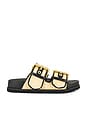 view 1 of 5 Sian Raffia Sandal in Natural & Black