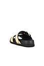 view 3 of 5 Sian Raffia Sandal in Natural & Black