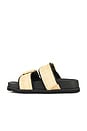 view 5 of 5 Sian Raffia Sandal in Natural & Black