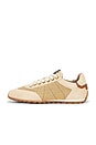 view 5 of 6 ZAPATILLA DEPORTIVA LIAM LOW TOP in Off White & Sand