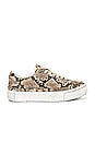 Trish Sneaker main image 0