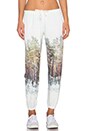 view 1 of 3 Sweatpants in The Woods