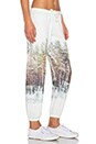 view 2 of 3 Sweatpants in The Woods