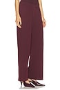 view 2 of 6 PANTALONES RENEE in Mahogany