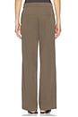 view 4 of 6 PANTALON RENEE in Taupe
