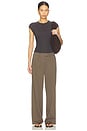 view 5 of 6 PANTALON RENEE in Taupe