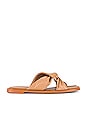 view 1 of 5 Nomad Sandal in Camel