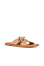 view 2 of 5 Nomad Sandal in Camel