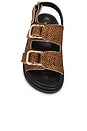 view 4 of 5 Harper Sandals in Soft Tan