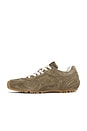 view 5 of 6 ZAPATILLA DEPORTIVA TB.56 in Khaki