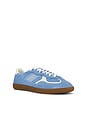 view 2 of 6 SNEAKERS TB.490 in Rife Cornflower Blue Cream