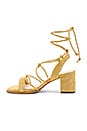 view 5 of 5 SANDALIA SOPHIE in Light Mustard