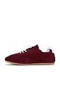 view 5 of 6 Tb.24 Sneaker in Suede Burgundy