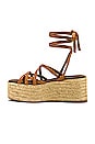view 5 of 5 SANDALES PAW-PAW in Camel