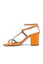 view 5 of 5 SANDALIA MANHATTAN in Spritz Orange
