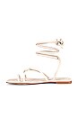 view 5 of 5 Lace It Up Flat Sandal in Ivory