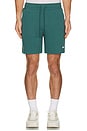 view 3 of 4 Chill Shorts in Winter Ivy