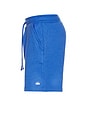 view 3 of 5 Chill Short in Marathon Blue