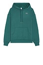 view 1 of 5 Accolade Hoodie in Winter Ivy