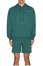 view 4 of 5 Accolade Hoodie in Winter Ivy
