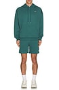view 5 of 5 Accolade Hoodie in Winter Ivy