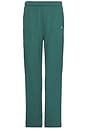 view 1 of 6 Accolade Straight Leg Sweatpant in Winter Ivy