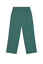 view 1 of 6 Accolade Straight Leg Sweatpant in Winter Ivy