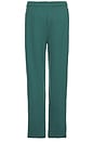 view 2 of 6 Accolade Straight Leg Sweatpant in Winter Ivy