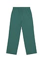 view 2 of 6 Accolade Straight Leg Sweatpant in Winter Ivy
