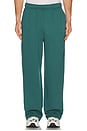 view 4 of 6 Accolade Straight Leg Sweatpant in Winter Ivy