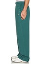 view 5 of 6 Accolade Straight Leg Sweatpant in Winter Ivy