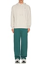 view 6 of 6 Accolade Straight Leg Sweatpant in Winter Ivy