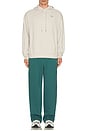 view 6 of 6 Accolade Straight Leg Sweatpant in Winter Ivy