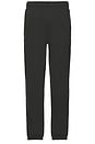 view 2 of 6 Accolade Sweatpant in Charcoal Green