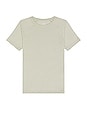 view 1 of 3 The Triumph Crew Neck Tee in Limestone