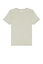 view 2 of 3 The Triumph Crew Neck Tee in Limestone