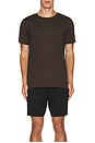 view 4 of 5 Conquer Reform Crewneck Short Sleeve in Espresso