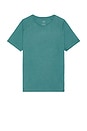 view 1 of 4 The Triumph Crew Neck Tee in Winter Ivy