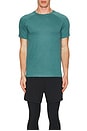 view 3 of 4 The Triumph Crew Neck Tee in Winter Ivy