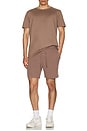 view 4 of 4 Conquer Reform Crewneck T-shirt in Mushroom