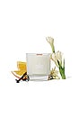 view 2 of 2 Alo Signature 8oz Candle in Santal