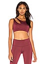 view 1 of 4 Peak Bra in Black Cherry
