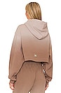 view 3 of 4 SUDADERA OMBRE in Sandstorm
