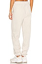 view 3 of 4 Accolade Sweatpant in Bone & Chrome