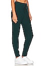 view 2 of 4 Muse Sweatpant in Midnight Green